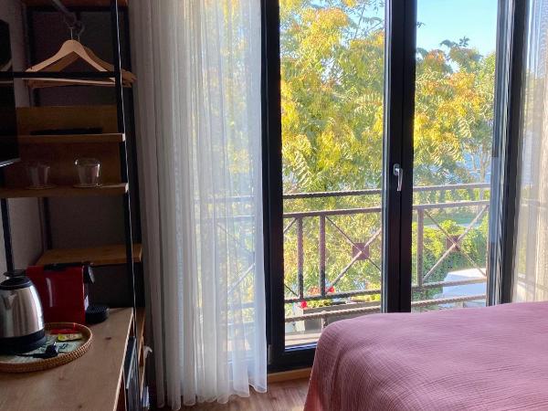 Istanbul Old City Colorful Houses Balat PETRION Hotel : photo 9 de la chambre chambre simple supérieure