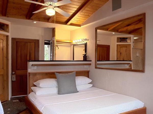 Les Artistes Inn : photo 4 de la chambre chambre king standard avec vue sur océan