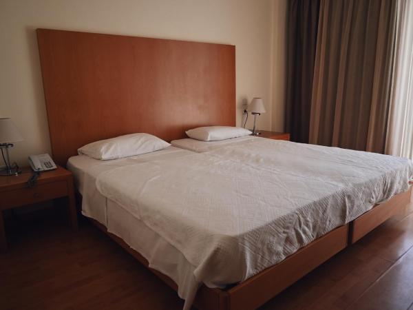 Angela Downtown Hotel : photo 1 de la chambre classic twin room with small balcony