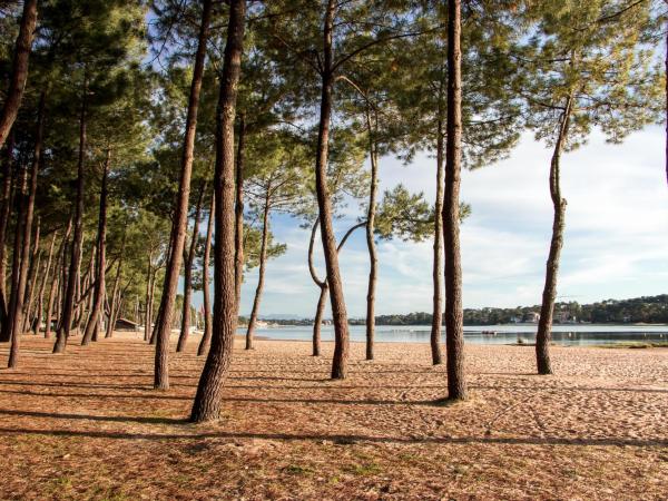 Résidence Hôtelière les Acanthes : photo 9 de la chambre appartement duplex (2 adultes + 2 enfants)