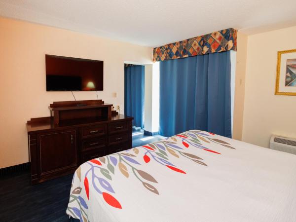 Garnet Inn & Suites, Orlando : photo 7 de la chambre suite lit king-size