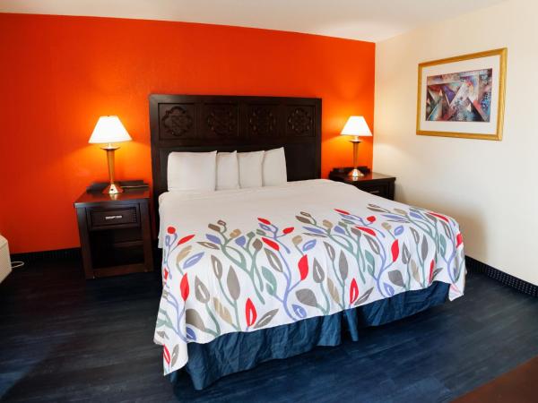 Garnet Inn & Suites, Orlando : photo 9 de la chambre suite deluxe avec lit king-size