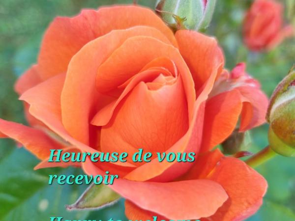 TiNat chambre : photo 3 de la chambre chambre double