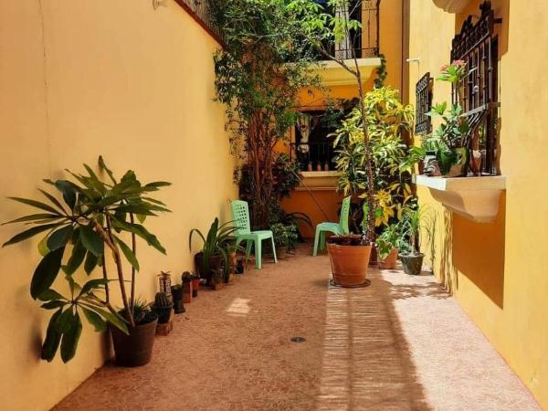 Casa Gecko : photo 2 de la chambre economy double room with cold shower