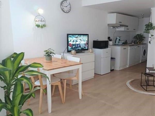 Duplex à la gare du Mans : photo 7 de la chambre appartement 1 chambre