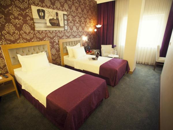 Helikon Business Hotel : photo 8 de la chambre chambre double standard