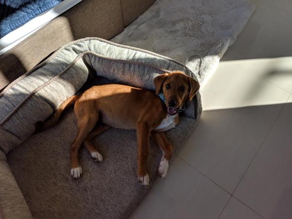 Casa Xcanatun : photo 9 de la chambre chambre lit king-size deluxe