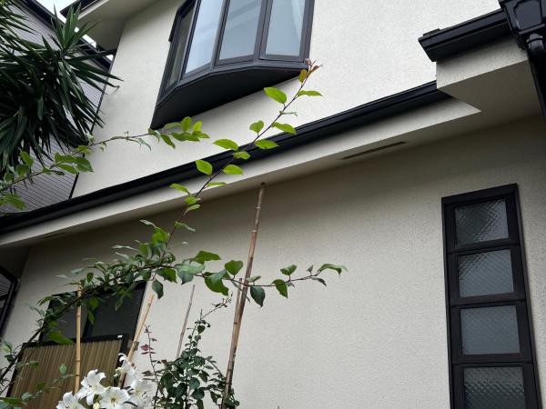 japan house shinkoiwa guest house : photo 1 de la chambre chambre familiale supérieure