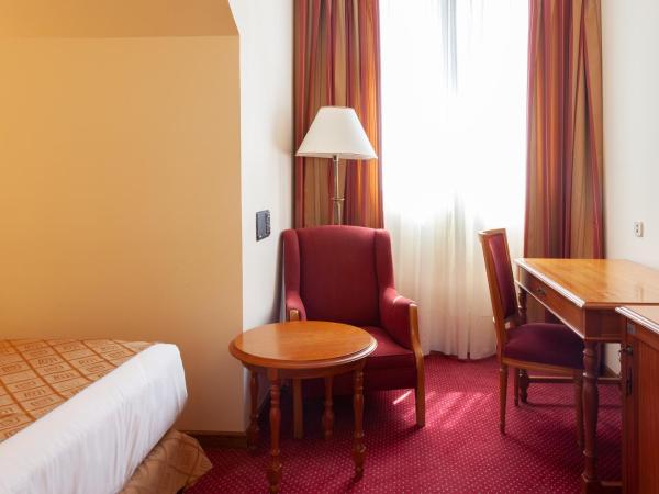 Hotel Hoyuela : photo 4 de la chambre chambre simple