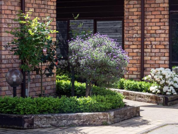 Arista of Rotorua : photo 7 de la chambre appartement 1 chambre avec jacuzzi - loft