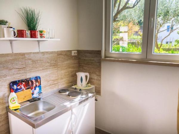 Dino and Jele Apartments : photo 1 de la chambre studio