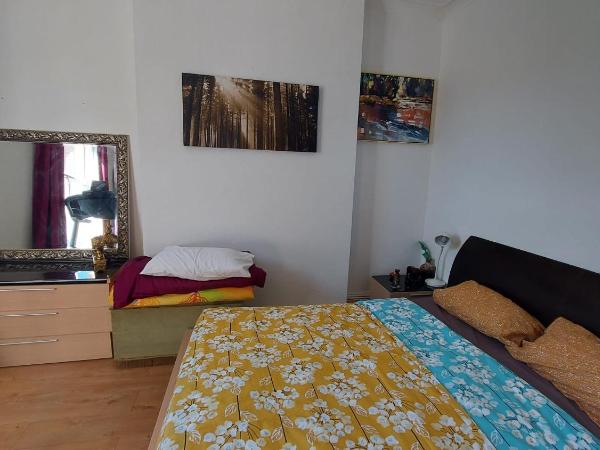 Extra Large One Bedroom Flat with Parking : photo 5 de la chambre appartement standard