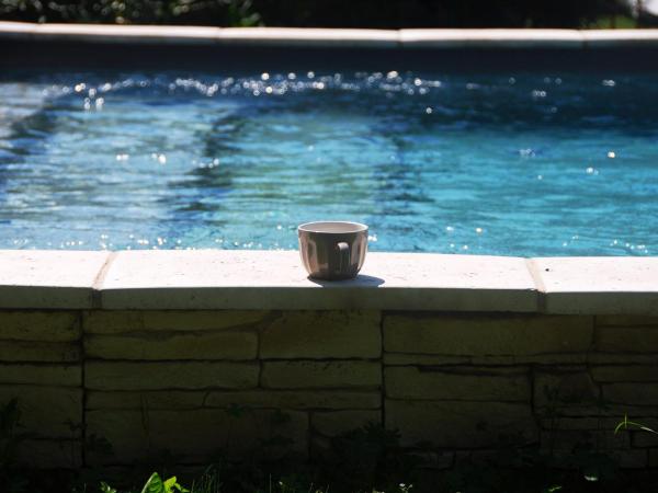 Les Volets Bleus Provence : photo 6 de la chambre studio avec vue sur jardin