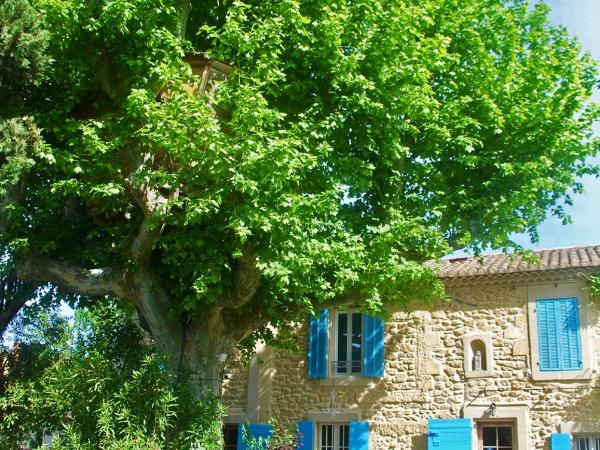 Les Volets Bleus Provence : photo 3 de la chambre chalet