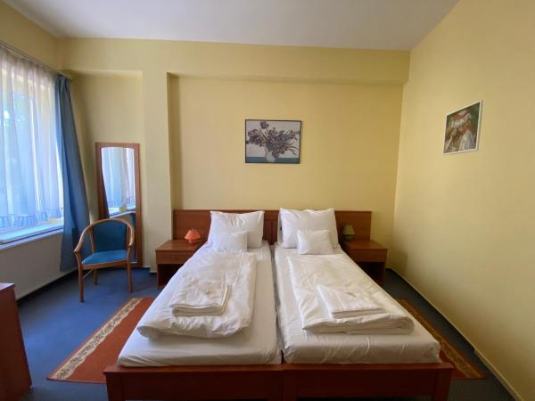 Tisza Alfa Hotel : photo 2 de la chambre chambre double ou lits jumeaux