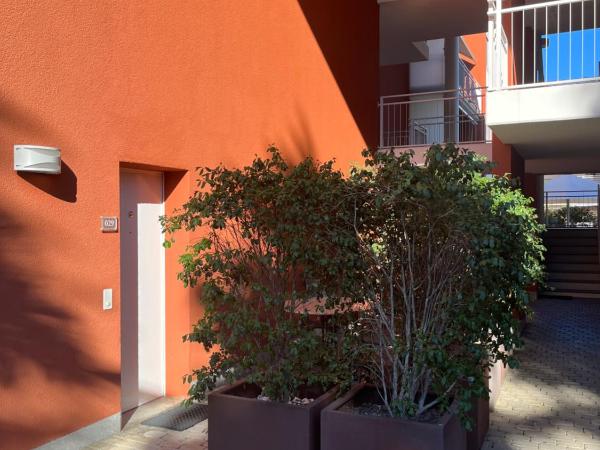 Hapimag Resort Ascona : photo 5 de la chambre studio rez-de-chaussée - sans vue