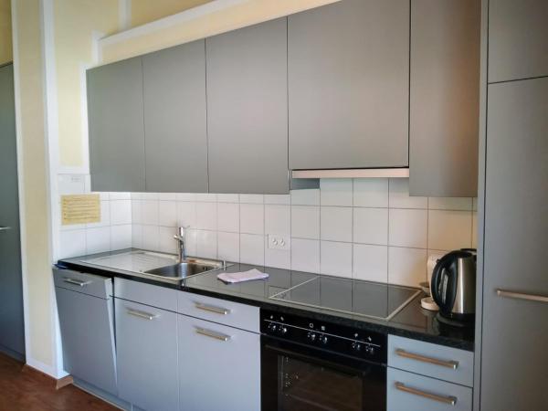 Aladin Apartments St Moritz : photo 7 de la chambre appartement (2 adultes)