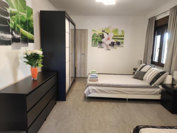 Viktor rooms and apartments : photo 7 de la chambre studio triple standard