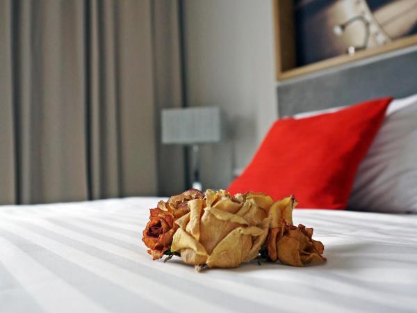 Hotel Forza : photo 10 de la chambre chambre double ou lits jumeaux confort 