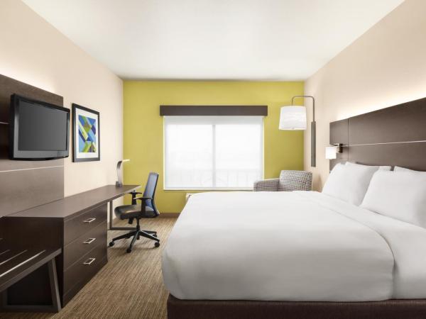 Holiday Inn Express Hotel & Suites San Antonio NW-Medical Area, an IHG Hotel : photo 1 de la chambre chambre lit king-size standard