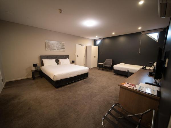 Sfera's Park Suites & Convention Centre : photo 2 de la chambre chambre lit king-size standard