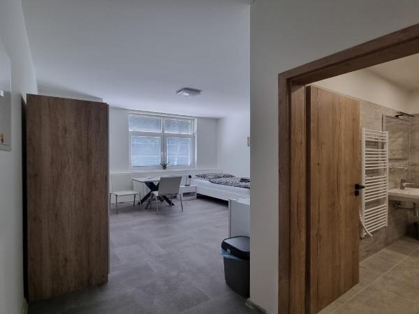 Apartmány U Jiříka : photo 1 de la chambre chambre simple avec salle de bains privative