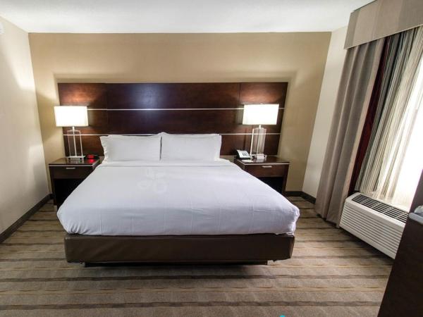 Holiday Inn Charlotte Airport, an IHG Hotel : photo 2 de la chambre suite lit king-size - non-fumeurs
