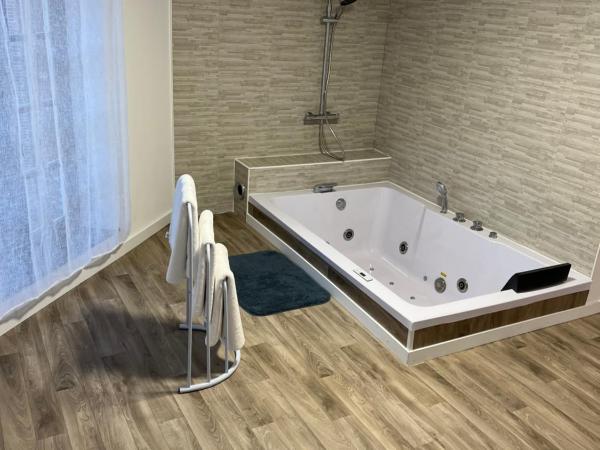 Magnifique Loft 35m2 Jacuzzi RVB NIGHT 1 : photo 7 de la chambre suite lit king-size avec baignoire spa