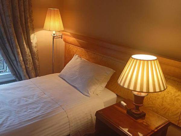 Hotel Sergul : photo 2 de la chambre chambre simple - vue sur jardin