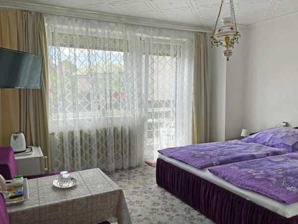 Pension Villa Hany : photo 3 de la chambre suite 2 chambres avec balcon