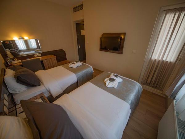 Herakles Thermal Hotel : photo 3 de la chambre chambre double ou lits jumeaux standard