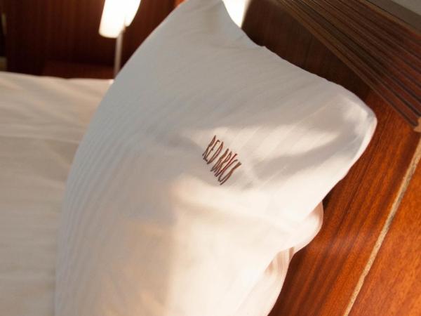 Red Brick Apartments : photo 9 de la chambre appartement standard