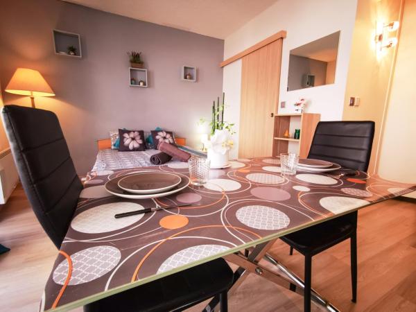 Léman Holidays - Appartement Hyper centre : photo 2 de la chambre studio