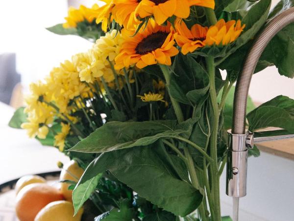 Résidence Châteauneuf : photo 6 de la chambre appartement supérieur 1 chambre avec terrasse