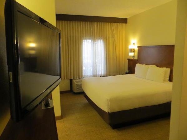 Hyatt Place Indianapolis Airport : photo 3 de la chambre chambre lit king-size avec canapé-lit et douche accessible en fauteuil roulant - accessible aux personnes à mobilité réduite