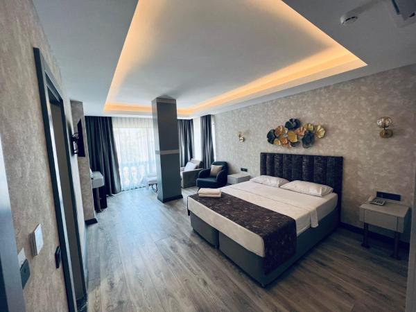 Avion Suite Hotel : photo 8 de la chambre chambre deluxe