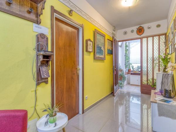 Apartments Vivijana : photo 10 de la chambre appartement 2 chambres