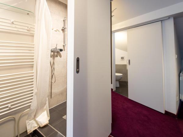 AMADEA - Cityhotel Salzburg : photo 3 de la chambre chambre double