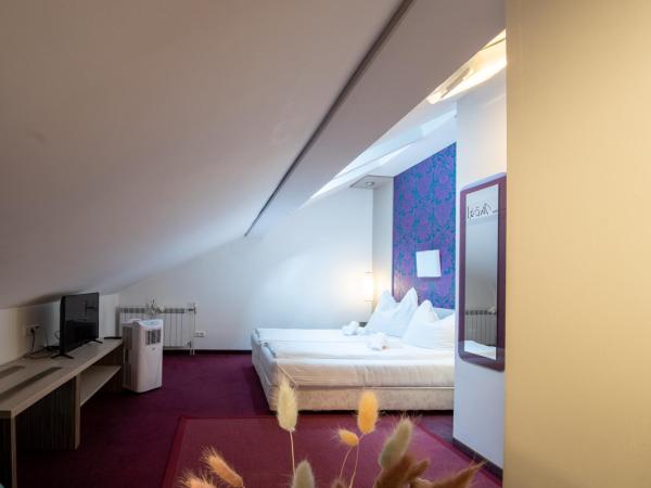 AMADEA - Cityhotel Salzburg : photo 4 de la chambre chambre double