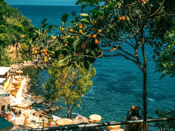 O' Vagnitiello - Parco Balneare Idroterapico - Camere - Ristorante : photo 1 de la chambre chambre lit king-size - vue sur mer