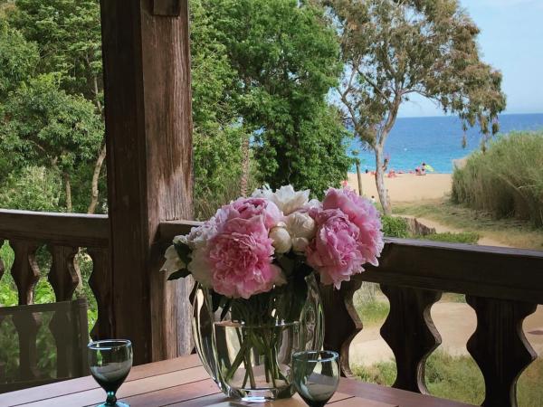 Le Clos des Sept Palmiers : photo 9 de la chambre chambre double avec balcon - vue sur mer