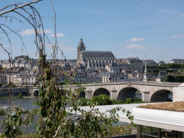 Fleur de Loire : photo 2 de la chambre chambre deluxe - vue sur loire