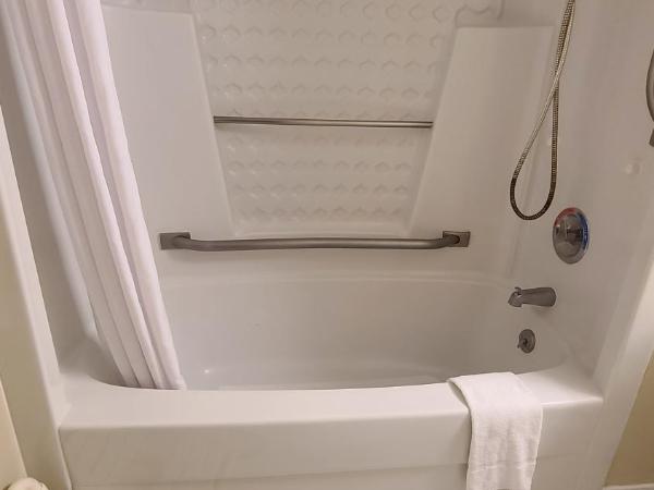 Econo Lodge Metro : photo 2 de la chambre chambre lit king-size - accessible aux personnes à mobilité réduite/non-fumeurs