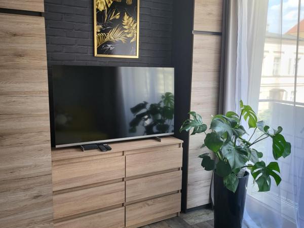 Moon Hostel Poznań : photo 9 de la chambre appartement deluxe