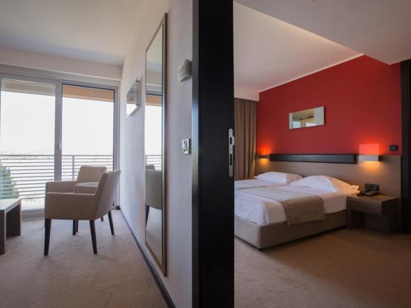 Hotel Molindrio Plava Laguna : photo 5 de la chambre suite avec balcon