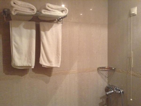 Telioni Hotel : photo 10 de la chambre chambre double