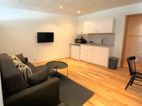 Day Dream Vesturgata 17 Reykjavik : photo 2 de la chambre studio familial