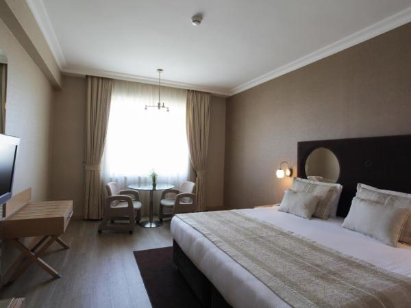 WOW Airport Hotel : photo 7 de la chambre chambre double ou lits jumeaux supérieure