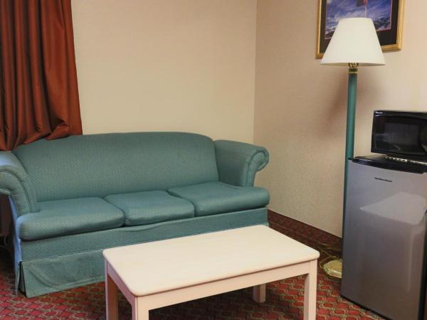 Americas Best Value Inn and Suites Houston FM 1960 : photo 8 de la chambre chambre avec 2 lits queen-size - fumeurs