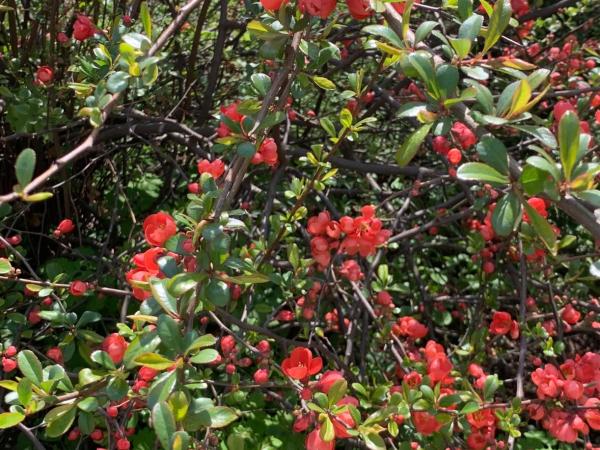 Penzion Kozí Horka u Brněnské přehrady : photo 2 de la chambre chambre double ou lits jumeaux avec balcon